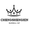 Shanghai Chengshengxin Network Technology Co., Ltd. logo