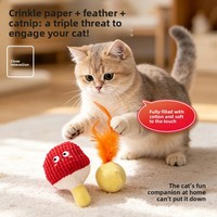 Ensemble de jouets pour chat : Balle interactive en peluche à effets sonores et froissés, enrichie en catnip, pour l'auto-entretenissement, le soulagement du stress et la stimulation dentaire des chatons