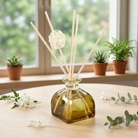 Diffuseur de parfum sans flamme 50 ml à bâtonnets d'aromathérapie, désodorisant WC, ornement d'intérieur, purificateur d'air