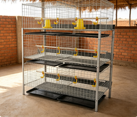 Cage à poulets à 4 niveaux et 2 portes, capacité 80 oiseaux, avec plateau de collecte