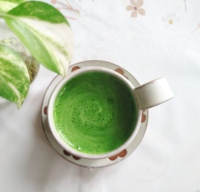 ISO HACCP Fabricant QYherb Usine En Gros En Vrac Qualité Supérieure Extrait De Plante Poudre De Feuille De Stevia