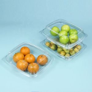 Contenedor Desechable Transparente de Plástico PET para Ensaladas con Tapa Abatible para Pizza, Fideos, Azúcar y Comida para Llevar - Product Image 1