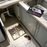 Piège à souris réutilisable robuste en métal, attrape-rats à capture rapide, contrôle des rongeurs pour la maison, l'entrepôt et la ferme