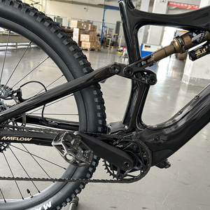 Bicicleta Eléctrica Amflow <span class=keywords><strong>Pl</strong></span> Carbon 800 Wh - L Equipada con Cargador de Carga Rápida Djl Aviox 850w Amflow Dji - Product Image 6