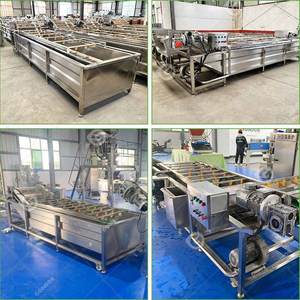 Máquina Portátil Pequeña para Lavar y Limpiar Vegetales y Frutas con Hojas, Equipo Granular para Línea de Procesamiento de Vegetales - Product Image 2