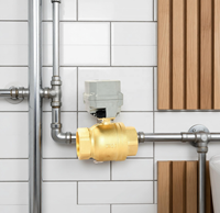 Vanne à boisseau sphérique électrique Etrany 2 voies 2'' en laiton, 24V CC, haute température, avec contrôle de débit, protection IP67 et couple de 15 N.m