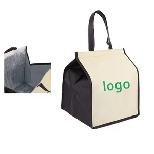 Saco de compras ecológico portátil do OEM Personalizado Durável Isolado Não Tecido Tote Lunch Thermal Cooler Bag