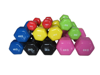 Haltères hexagonaux en vinyle de 2 kg, nouveau produit en gros, couleur rose, haltères hexagonaux pour femmes