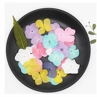 Fleurs d'hortensia séchées et pressées, naturelles et authentiques, pour la création de cartes et de bijoux en résine, présentées sous cadre.