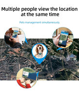 Traceur Gps Anti-vol pour animaux 4G, de chien et de chat, dispositif de suivi du collier avec temps réel, plate-forme Mini