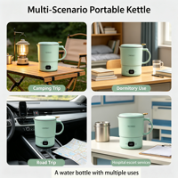 Bouilloire électrique de camping 800 ml, portable, pliable, en acier inoxydable, avec contrôle de la température et arrêt automatique
