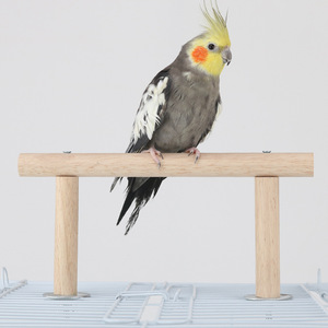 Supporto in legno per <span class=keywords><strong>gabbia</strong></span> per pappagalli con piattaforma di appoggio, set di giocattoli e altalena - Product Image 4