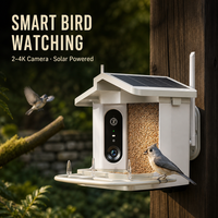 Nouveau distributeur de nourriture intelligent pour animaux de compagnie à énergie solaire, mangeoire intelligente pour oiseaux pour l'observation des oiseaux, fournitures pour oiseaux, produit phare