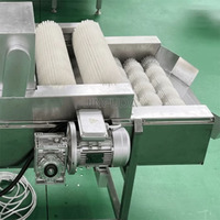 Fabrieksprijs Cactusvijg Doorn Verwijderingsmachine Cactus Peer Reinigingsmachine Nopal Fruit Dethorning Machine