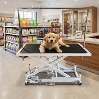 Table de toilettage pour animaux, table de coiffure et de toilettage pour chiens, table de soin du pelage avec élévateur électrique, table de toilettage pour chats et chiens
