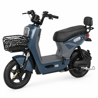 Vélo électrique brésilien EBIKE 48V 20Ah 500W à moteur sans balais, mini vélo électrique avec freins à disque hydrauliques, vente chaude