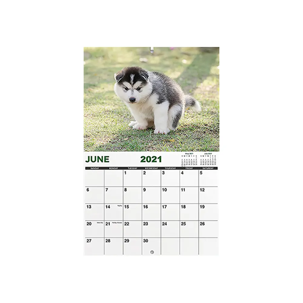 犬のカレンダー壁カレンダー自然呼び出しうんち壁カレンダー