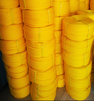 Cuerda de Polietileno Duradera con Certificación ISO9001, Cuerda de Pesca Trenzada de PE Duro Monofilamento HDPE Amarillo Dorado
