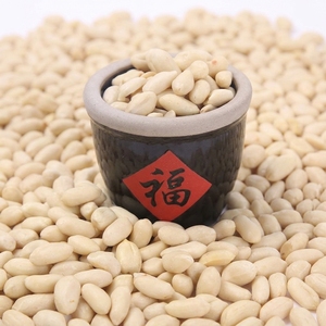 Cacahuetes Tostados y Blanqueados Frescos de Alta Calidad, Snack a Precio de Mayoreo, Producto de <span class=keywords><strong>Cacahuete</strong></span> de Buena Calidad - Product Image 1