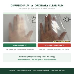 Film per Serra Agricola da 150 Micron, Resistente ai Raggi UV, Anti-Invecchiamento, Anti-Appannamento, Anti-Goccia, Copertura in PE per Ortaggi - Product Image 5
