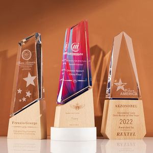 Trofeo de Cristal con Base de Madera - Premio Ecológico Grabado con Arenado para Ceremonias de Competición, Regreso a Clases, Navidad, Año Nuevo - Product Image 3