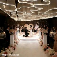 Voile lumineux romantique pour plafond de mariage, 20m x 50cm de hauteur, lumière blanche, pour anniversaire, demande en mariage, mariage