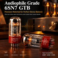 6SN7 Vakum Valfi, Çift Triyot, Eşleştirilmiş Çift, Audiophile Vintage Tüp Amplifikatör Restorasyonu için 6N8P 6H8C CV181'in Doğrudan Yerine Geçer