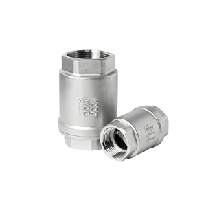 Válvula de Retención Vertical de Acero Inoxidable ACKO SS304/316, Válvula Unidireccional con Rosca Hembra para Tuberías de Agua y Aceite - Product Image 1