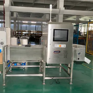 Fanchi-tech X-ray Inspection Systems For Unpackaged Products Inspection Of Bulk Foods With X-ray Machine