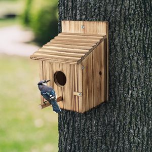 Bahçe asılı için katı ahşap Modern <span class=keywords><strong>Birdhouse</strong></span> açık evcil hayvan kafesi düğme kapatma hayvan desen birdbirds kuşlar satış - Product Image 4