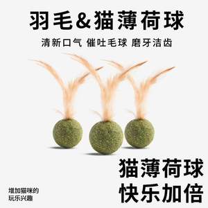 Nouveau jouet léger de décompression en plumes pour chats, pour le nettoyage des dents, à mâcher, comestible, à la catnip rafraîchissante, jouet multi-plateformes pour animaux de compagnie - Product Image 5
