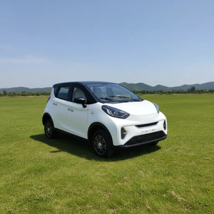 Nueva Promoción Caliente: Refugio de Confort de Alta Potencia para Vehículos Eléctricos - Compra tu Coche Eléctrico, Sedán, Mini Coche Individual de Cuero con Cámara - Product Image 5