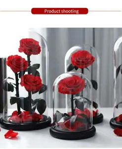 Cute Valentines Day Gift Inpreserved Roses In Glass Dome Uae Color TKA Heart Shape Preserved Rose In Glass Dome With Hear