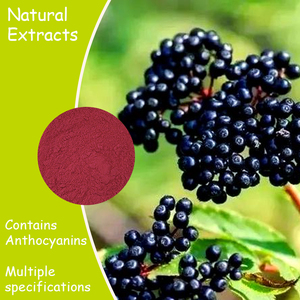 Số lượng lớn doanh nghiệp tiêu chuẩn đen Cơm cháy chiết xuất bột 13% Vitamin C anthocyanins 18% polyphenol cơm cháy bột - Product Image 3