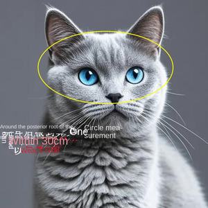 <span class=keywords><strong>Casque</strong></span> d'ours de locomotive <span class=keywords><strong>pour</strong></span> chat ou <span class=keywords><strong>chien</strong></span> venin 33CM nouvelle conception à double visière ABS matériel ornements poupée - Product Image 4