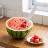 Krulmeloenlepel, roestvrijstalen schep voor fruit, groenten, boter & meer, vaatwasmachinebestendig fruitschepje