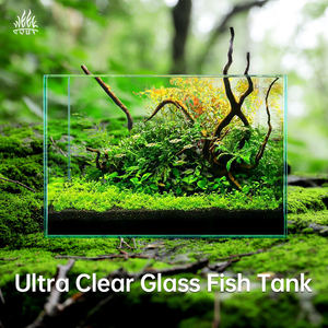 Vente en gros de verre ultra clair verre transparent super blanc 10 20 30 gallons Aquarium à poissons Betta en verre à faible teneur en fer - Product Image 2