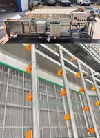 Automatische belwasmachine voor fruit, groenten, bladeren en rode dadels, reinigings- en drooglijn, spuitwasmachine, motor, roestvrij staal, hoogwaardig