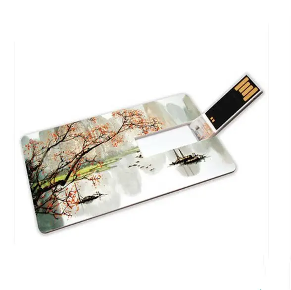 Kartu memori USB plastik, dompet bentuk kartu kredit plastik harga rendah ukuran kustom gambar spot Pemandangan 4 GB 8 GB USB Flash Drive