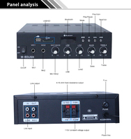 Amplificateur de puissance professionnel HIFI 60W JBHKJ FM-60USB, amplificateur de sonorisation 120W, 70V 100V, classe D, USB, FM, micro, alliage d'aluminium