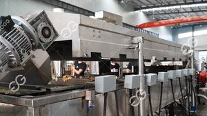 Machines de fabrication de chips de banane Offre Spéciale Gelgoog Fournisseurs de ligne de production Lignes commerciales de chips de banane/plantain - Product Image 3