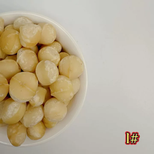 Premium Grade Raw Whole Macadamia <strong>Kernels</strong> 17-20mm Unroasted Unsalted <strong>Nuts</strong> - Product Image 6