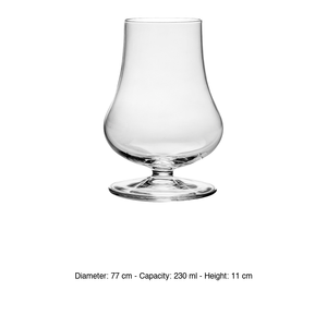 Luigi Bormioli Temptations Tester Glass 23 cl H 11 cm Ø 7.7 cm - Product Image 3