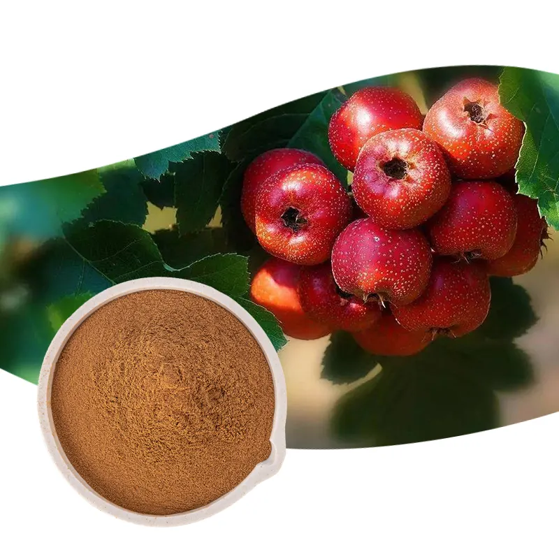Supply Vitexin rhamnoside 2% Hawthorn leaf extract With Best Price
