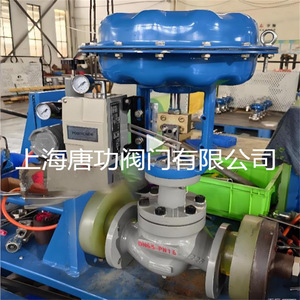 Vanne de régulation pneumatique Tang Gong à siège unique DN25 à joint souple pour vapeur d'eau, huile et métallurgie - Product Image 4