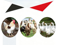 Máquina Desplumadora de Aves Multifuncional con Buena Tasa de Desplumado para Granjas de Pollos, Patos y Gansos
