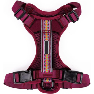 <span class=keywords><strong>Harnais</strong></span> anti-traction en maille de nylon pour chiens, avec sangle en Y réglable, anti-évasion, vert néon, <span class=keywords><strong>harnais</strong></span> de mode pour animaux de compagnie - Product Image 1