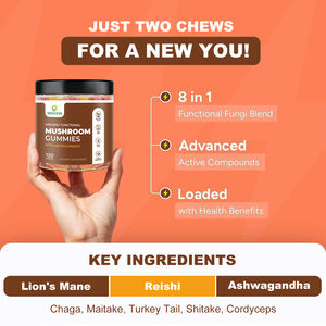 我的工厂定制8合1免疫支持抗氧化认知增强能量平衡蘑菇软糖阿育瓦甘达酶 - Product Image 2