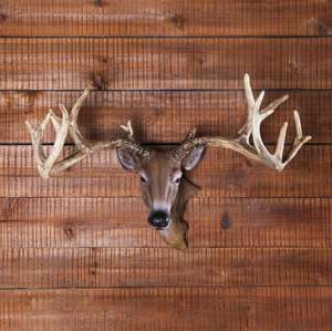 <span class=keywords><strong>Testa</strong></span> di <span class=keywords><strong>Cervo</strong></span> in Resina con Corna per Decorazione Murale - Product Image 3