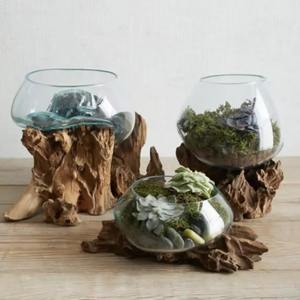 Vetro fuso su legno scultoreo interno/esterno pianta terrario vaso elegante Design unico <span class=keywords><strong>per</strong></span> ufficio soggiorno festa regalo - Product Image 3